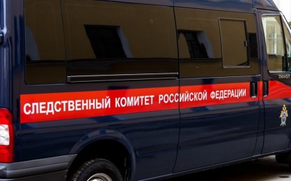 Жительница города Клинцы осуждена по обвинению в применении насилия в отношении сотрудника полиции