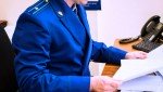 За продажу боеприпасов житель Клинцовского района отправлен на скамью подсудимых